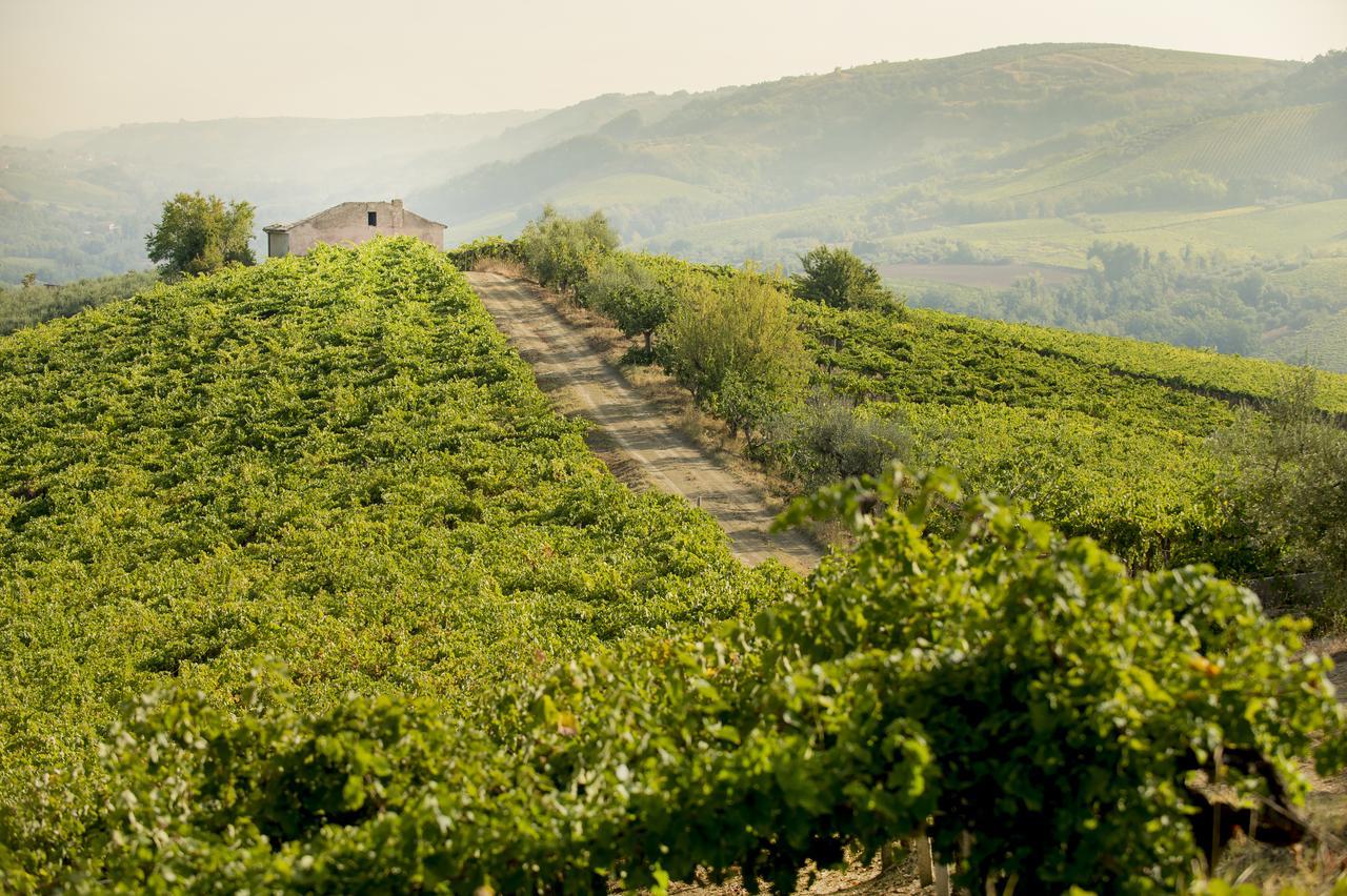 Baldovino B&B Villamagna (Abruzzo) Exterior foto